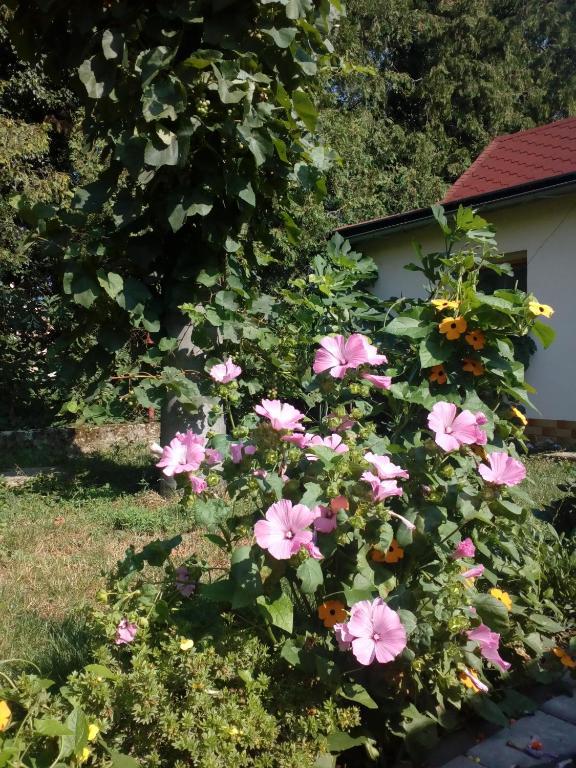 Platanus Beckov Exterior foto